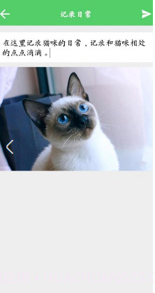 猫咪之家截图1 猫咪之家截图1