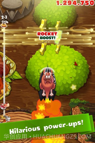 疯狂袋鼠 (Crazy Kangaroo)截图2 疯狂袋鼠 (Crazy Kangaroo)截图2