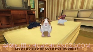 养豚鼠进化模拟器截图1 养豚鼠进化模拟器截图1