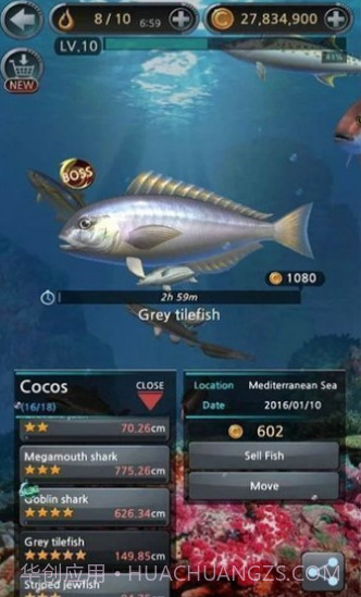 钓鱼胡克中文截图3