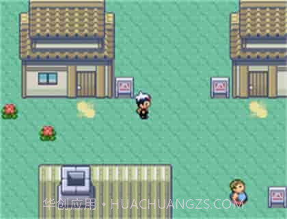 口袋妖怪蓝宝石截图3