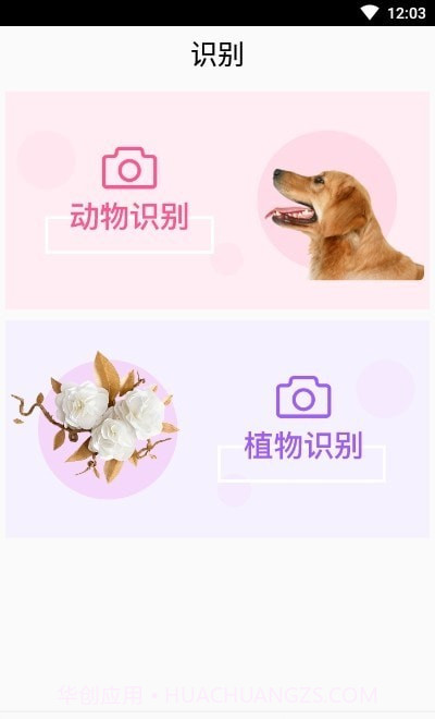 灵通植物识别截图2