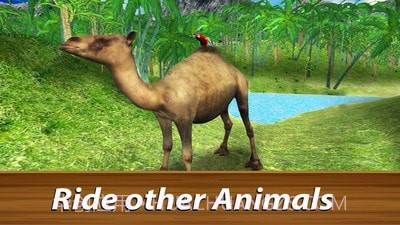 野生鹦鹉生存丛林鸟模拟器截图2