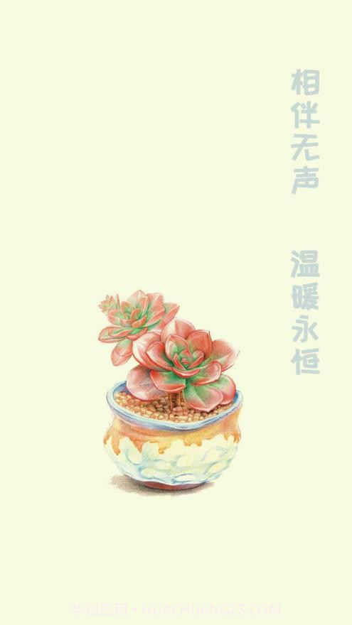 小墨多肉日记记录截图1