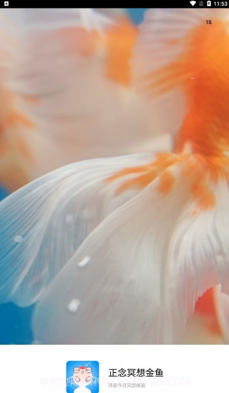 正念冥想金鱼截图1 正念冥想金鱼截图1
