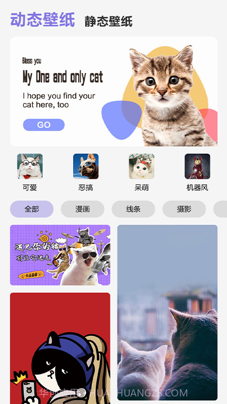 可爱喵喵壁纸大全截图3
