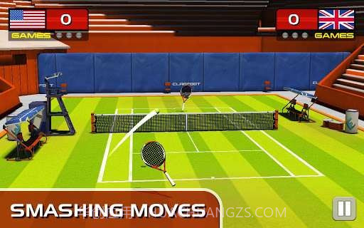 3D网球大赛 Play Tennis截图5