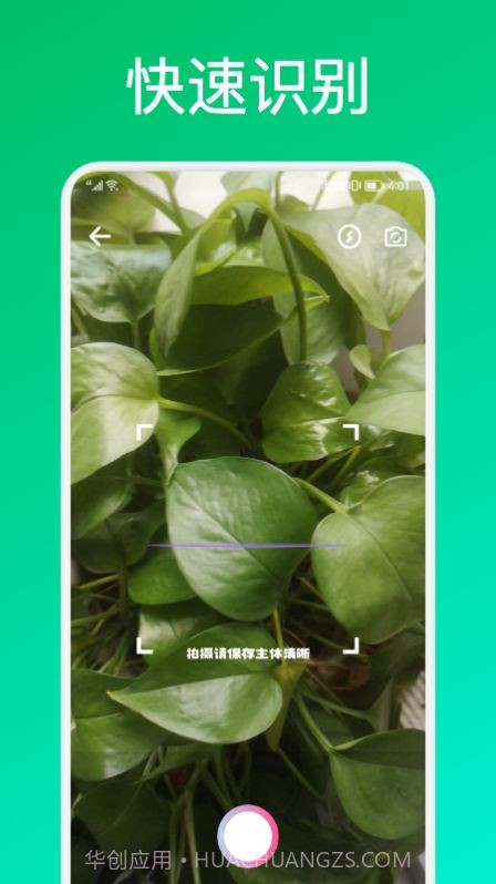 识花君植物识别截图1