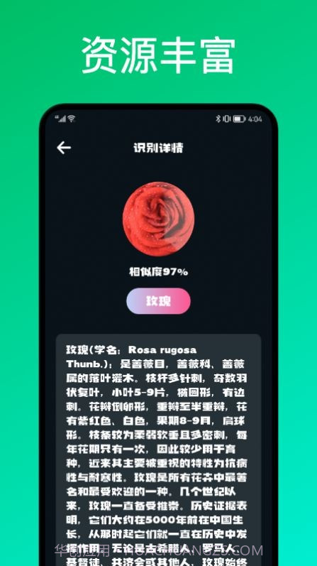 识花君植物识别截图2