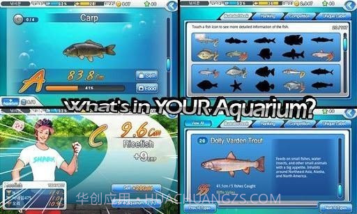 钓鱼大师第五季截图3