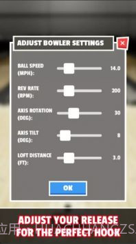 保龄球释放截图1