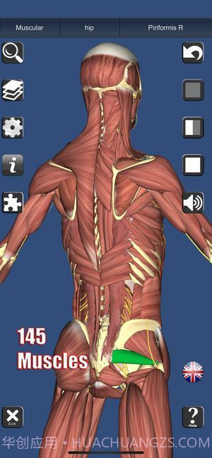 3D解剖截图5