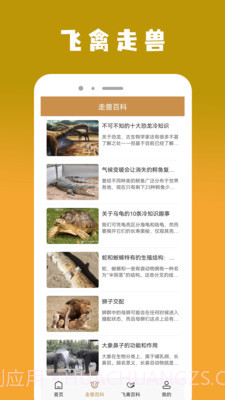 飞禽大全资讯截图3