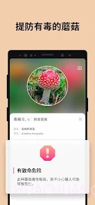 Picture Mushroom蘑菇识别扫一扫截图2 Picture Mushroom蘑菇识别扫一扫截图2